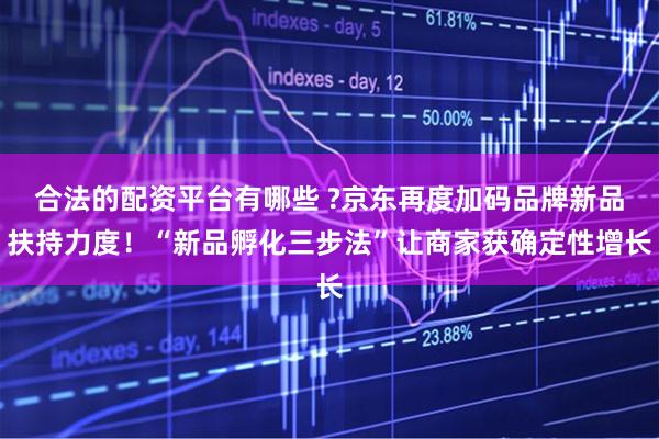 合法的配资平台有哪些 ?京东再度加码品牌新品扶持力度！“新品孵化三步法”让商家获确定性增长